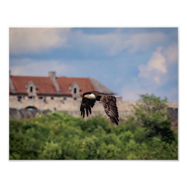 Impression Photo 14x11 Aigle Bald passant par Fort Ticondéroga (Devant)