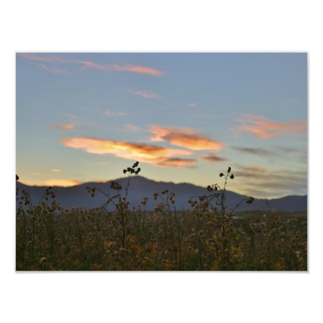 Impression Photo 16 x 12 (Devant)