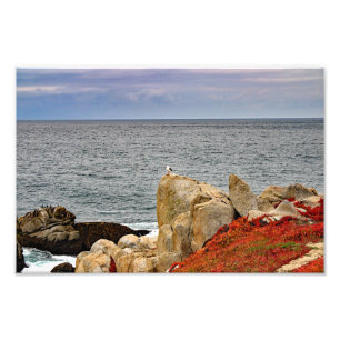 Impression Photo 17 Mile Drive