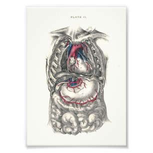 Impression Photo 1895 Anatomie humaine Print Heart