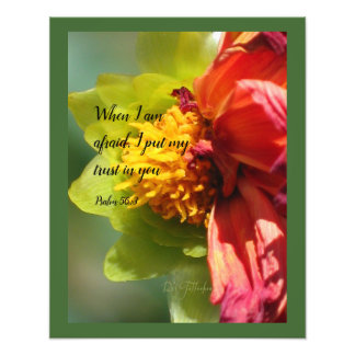 Impression Photo 2024 JW year text Psalm 56:3