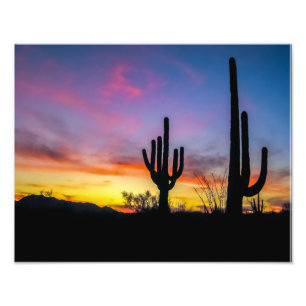 Impression Photo 2034-2-Arizona Désert au coucher du soleil avec Ca