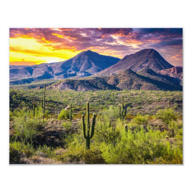 Impression Photo 2124-2-Arizona Désert au coucher du soleil avec Ca (Devant)