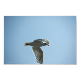 IMPRESSION PHOTO 2367