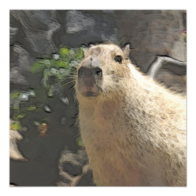 IMPRESSION PHOTO 3 (Devant)