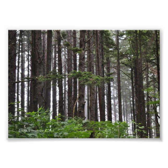 Impression Photo 5X7 La Push 2nd Beach Trail (Devant)