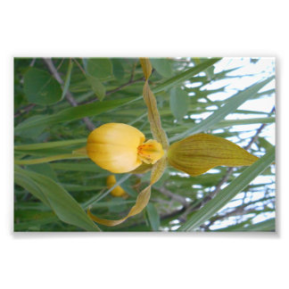 Impression photo 6x4