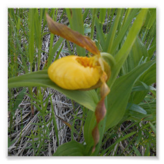 Impression photo 6x6