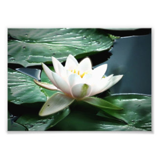 impression photo 7x5