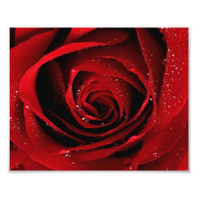 Impression photo 8x10 (Devant)