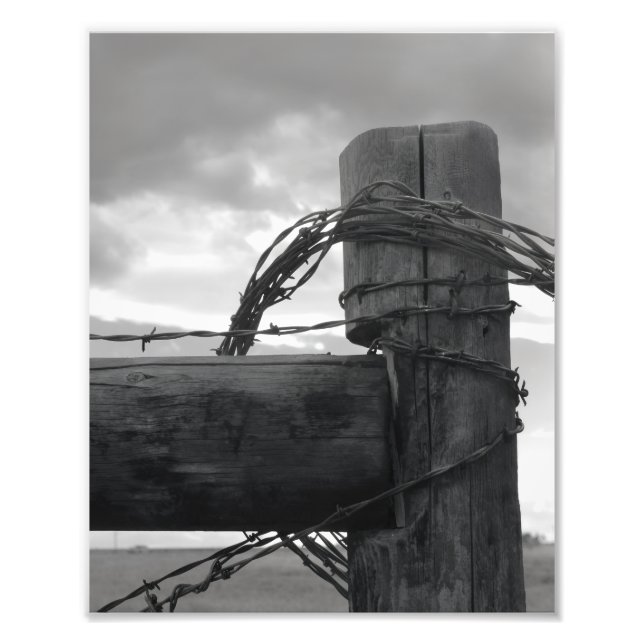 Impression Photo 8x10 Print - Wood & the Wire (Devant)