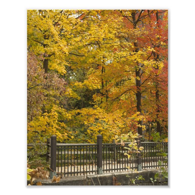 Impression Photo a (Devant)