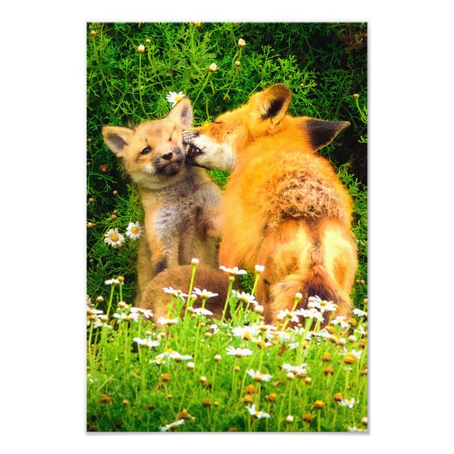 Impression Photo A Mother's Kiss Wildlife Nature Art Print (Devant)
