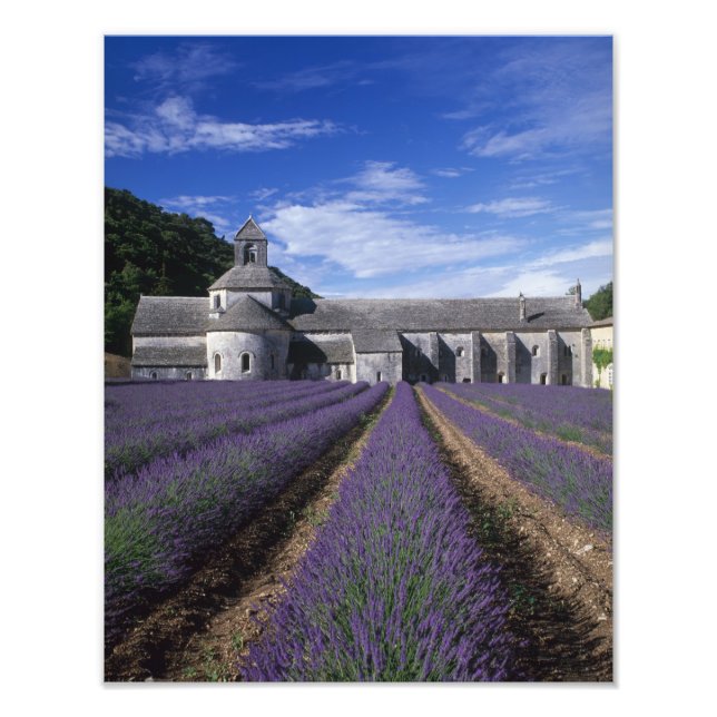 Impression Photo Abbaye de Sénanque, Gordes, Vaucluse, Provence, (Devant)