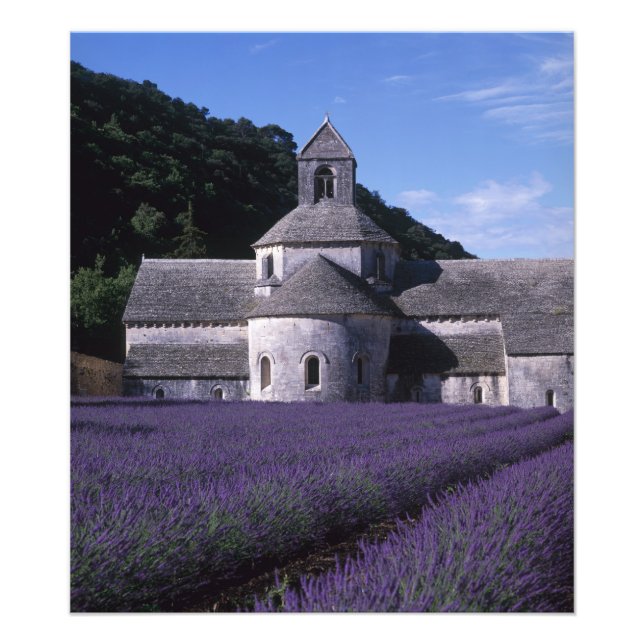 Impression Photo Abbaye de Sénanque, Gordes, Vaucluse, Provence, 2 (Devant)