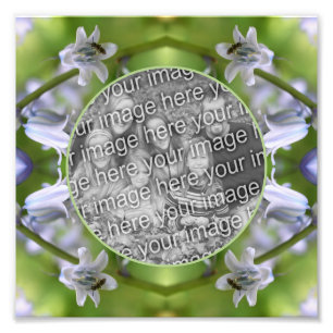 Impression Photo Abeille sur cadre de fleur de jacinthe des bois Cr