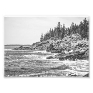 Impression Photo Acadia Maine Rocky Coastline Noir et blanc