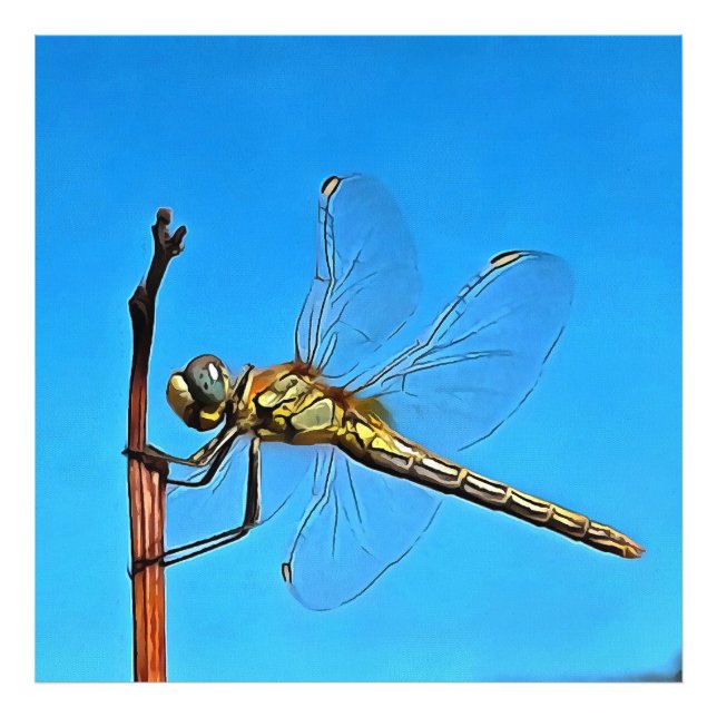 Impression Photo Accrochez-Vous Là Dragonfly Artistique (Devant)