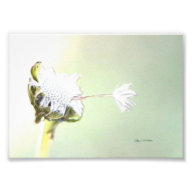 Impression Photo Accrochez-vous - relief faux (Devant)