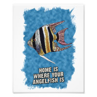 Accueil est là où votre AngelFish est mignon Dire