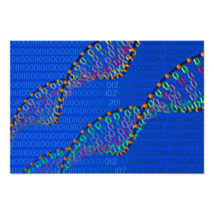 Impression Photo ADN humaine et affiche synthétique d'ADN