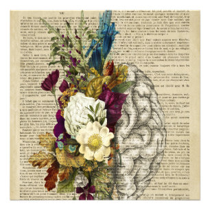 Impression Photo affiche d'anatomie du cerveau floral médical