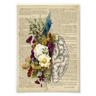 Impression Photo affiche d'anatomie du cerveau floral médical