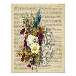 Impression Photo affiche d'anatomie du cerveau floral médical