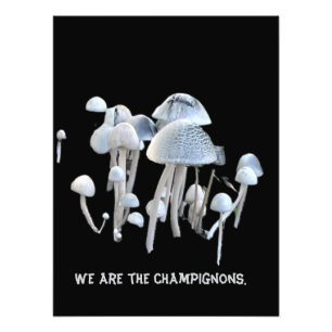 Impression Photo Affiche de champignons