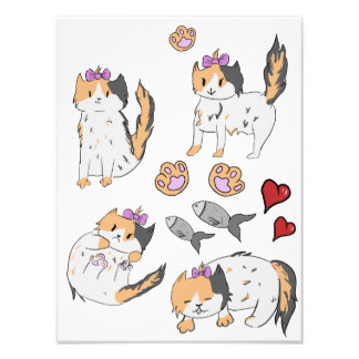 Impression Photo affiche de chaton