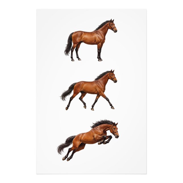 Impression Photo Affiche de cheval brun élégant pour mur (Devant)