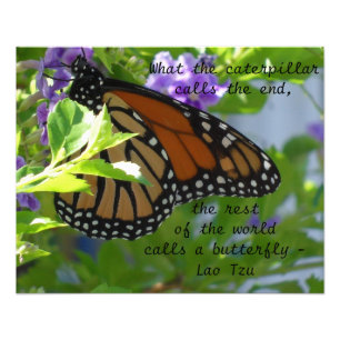 Impression Photo Affiche de citation inspirante du papillon monarqu
