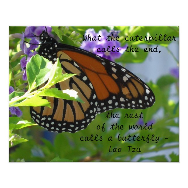 Impression Photo Affiche de citation inspirante du papillon monarqu (Devant)