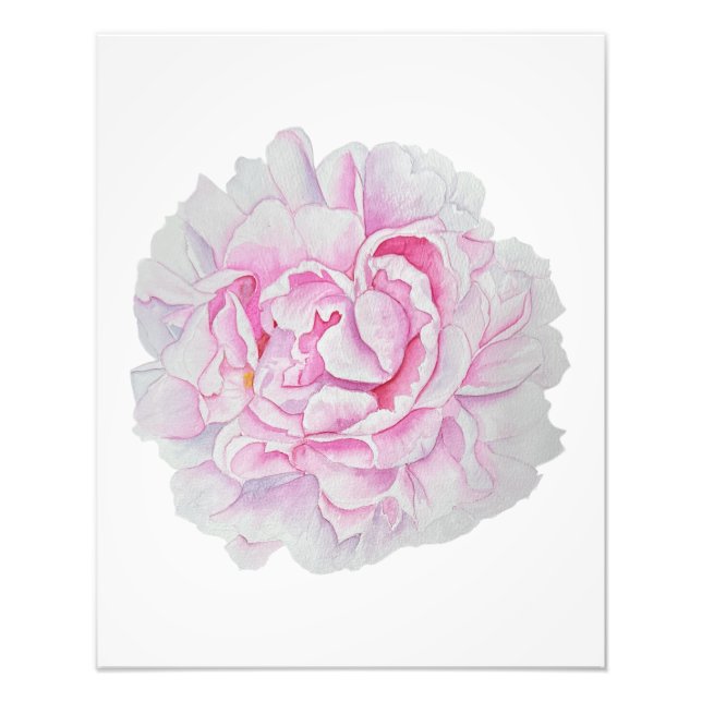 Impression Photo Affiche de fleur aquarelle Peony rose (Devant)