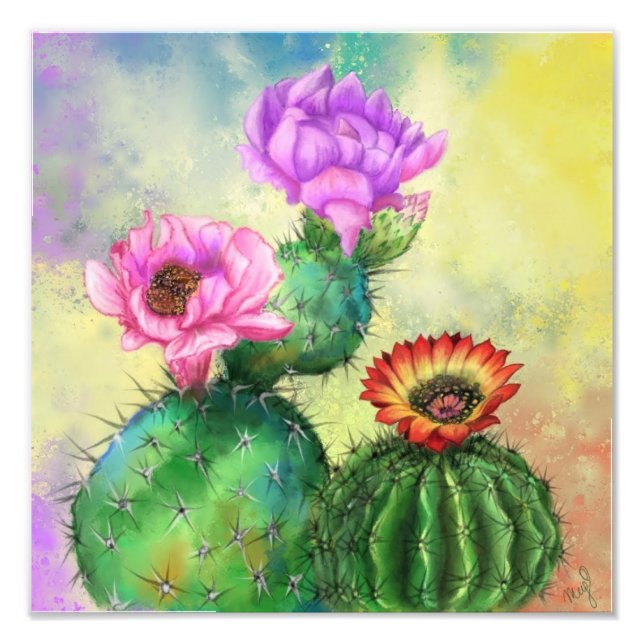 Impression Photo Affiche de fleurs de cactus (Devant)