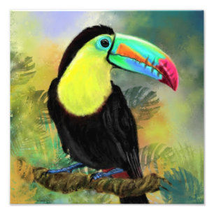 Impression Photo Affiche de peinture à l'aquarelle de l'oiseau Touc