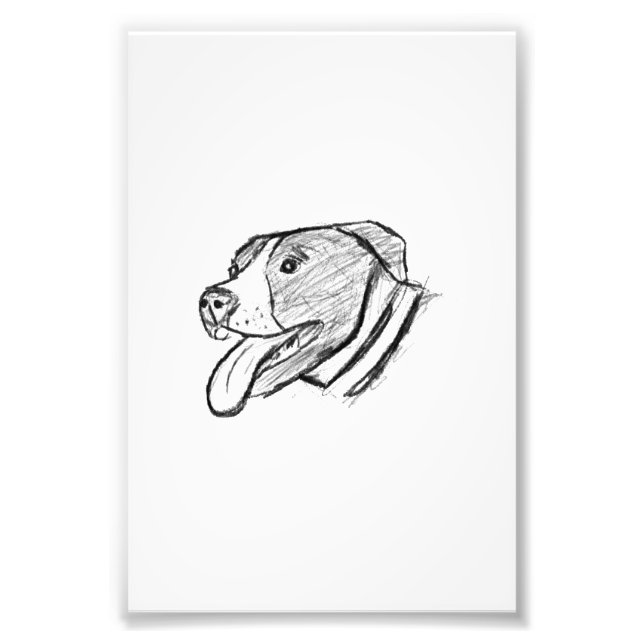 Impression Photo affiche de pitbull dessinée à la main pour amateur (Devant)