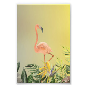 Impression Photo Affiche Fantastique de Flamant Rose en Forêt Tropi