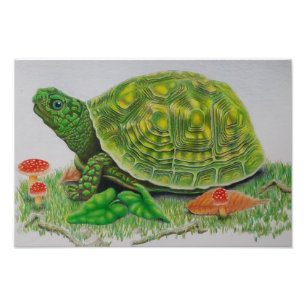 Impression Photo Affiche originale "d'amour de tortue" par Baylen