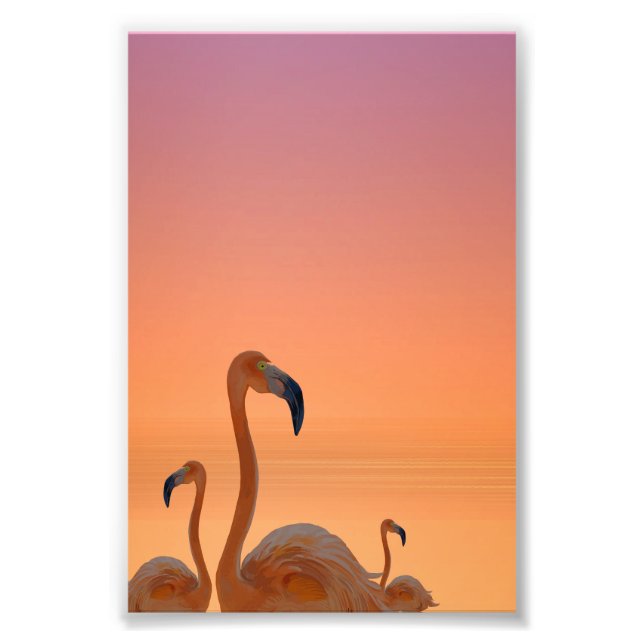 Impression Photo Affiche Tropicale Flamant du Coucher de Soleil (Devant)