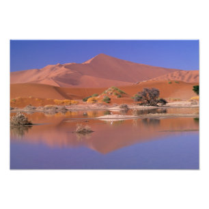Impression Photo Afrique, Namibie. Parc Namib-Naukluft. 2