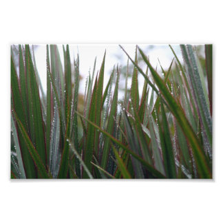 Impression Photo After the rain