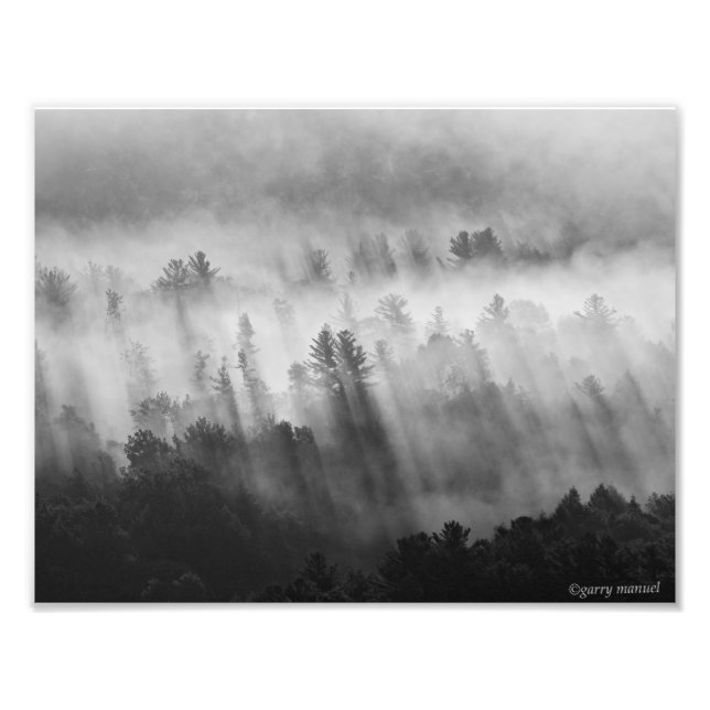 Impression Photo After the Rain - Early Morning in the Adirondacks (Devant)