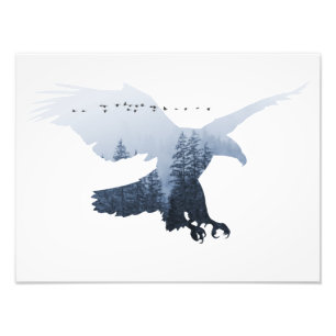 Impression Photo Aigle Animal Forêt Sauvage Nature Monde Terre Libr