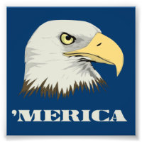 Aigle Balle Américaine Pour L'Amérique