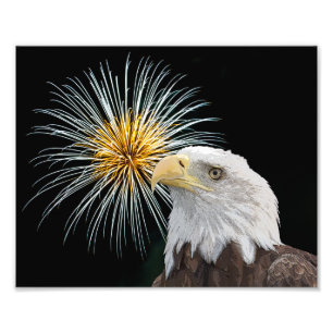 Impression Photo Aigle et feu d'artifice