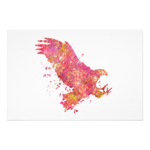 Impression Photo Aigle Oiseaux Forêt Sauvage Nature Monde Terre Vol