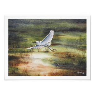 Impression Photo Aigrette blanche aquarelle 