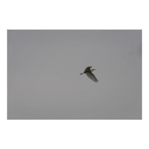 Impression Photo Aiguille En Vol