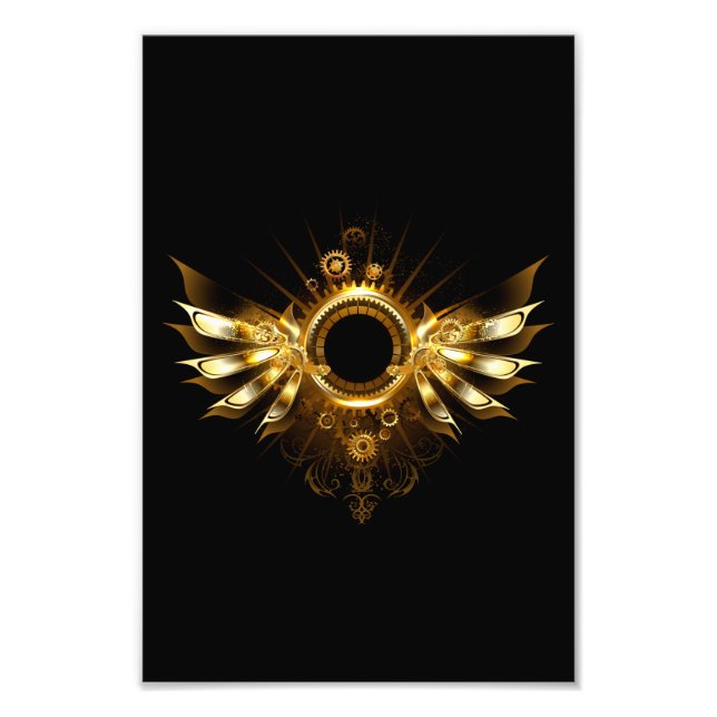 Impression Photo Ailes steampunk (Devant)